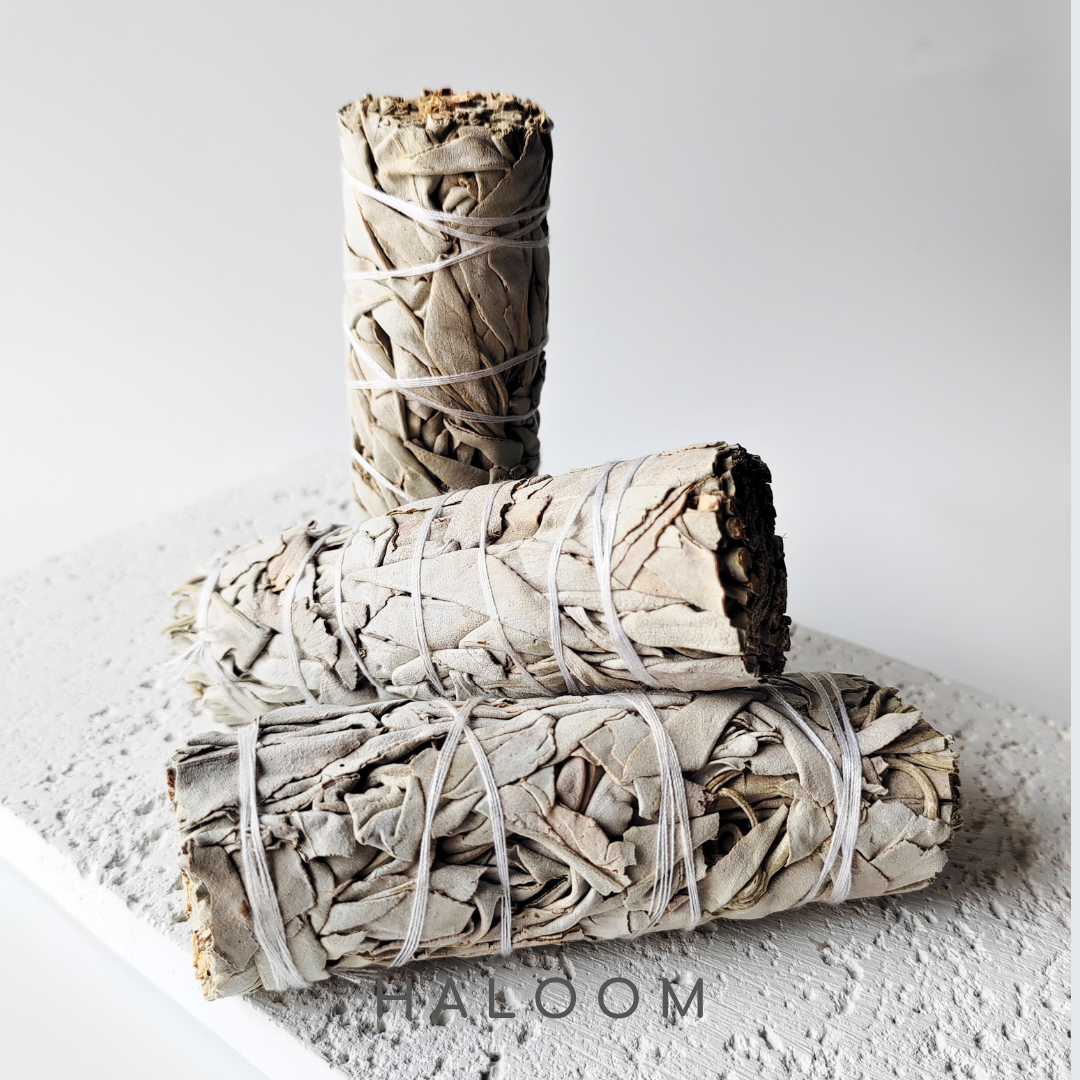 Premium white sage sticks