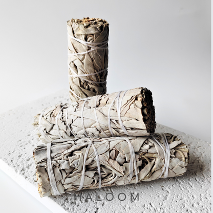 Premium white sage sticks