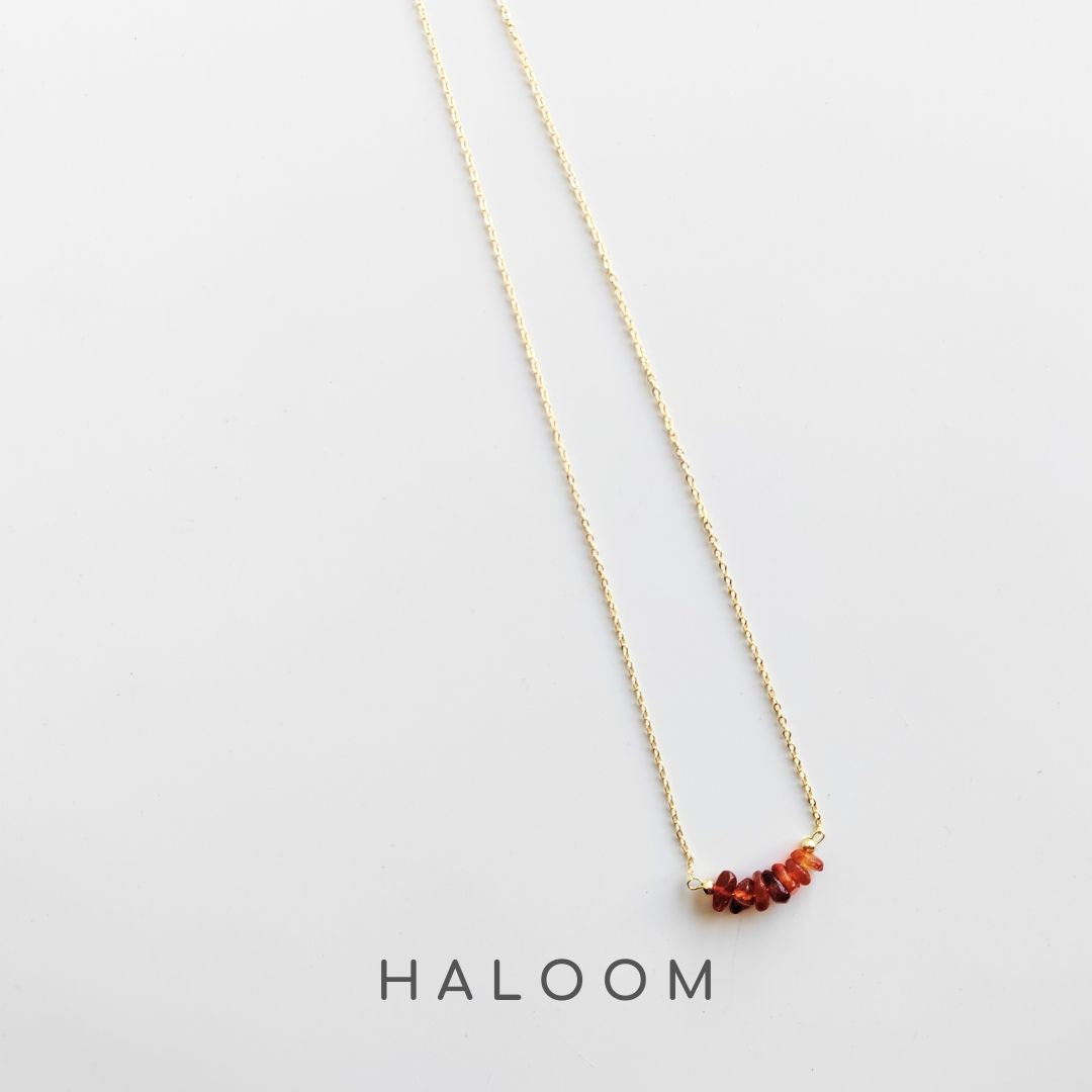 Carnelian chip necklace